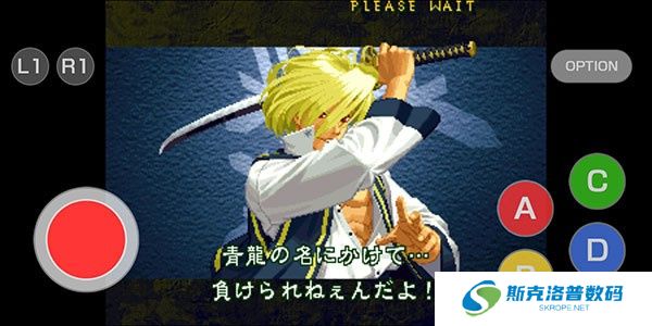 月华剑士2