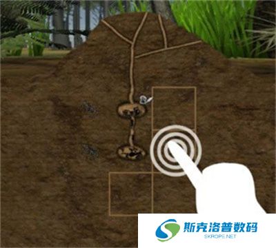 最后的蚂蚁