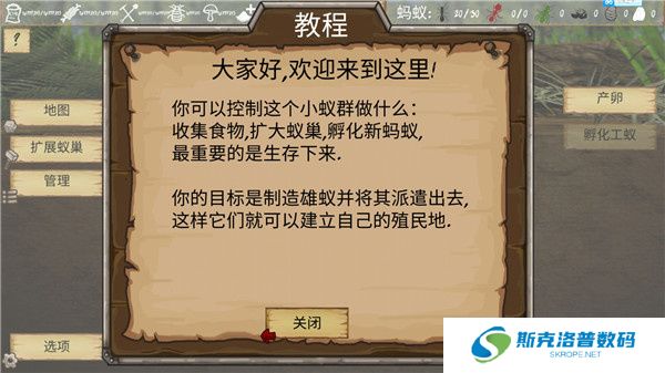 最后的蚂蚁