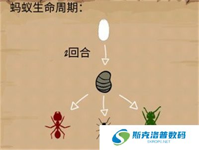 最后的蚂蚁