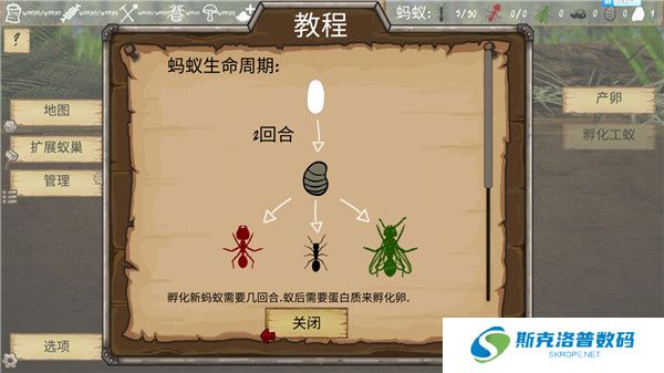 最后的蚂蚁