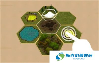 最后的蚂蚁