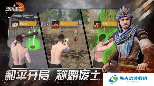 逆境重生正版