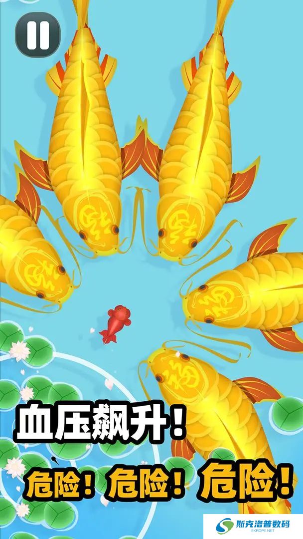 合成大锦鲤