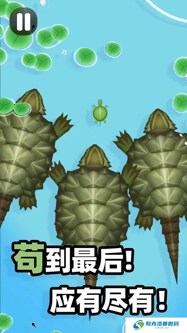 合成大锦鲤