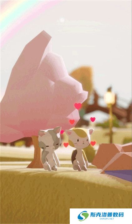 亲爱的猫咪