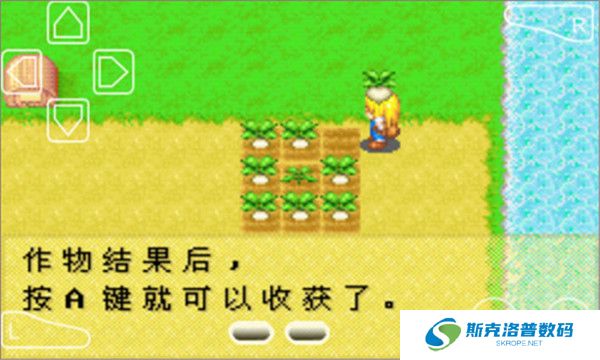牧场物语女孩版手机版