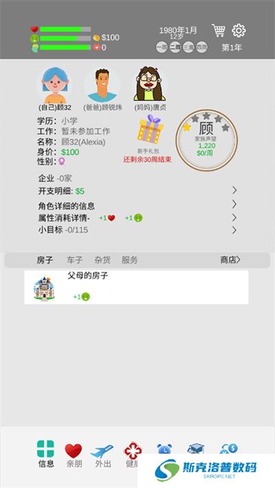 完美人生中文版