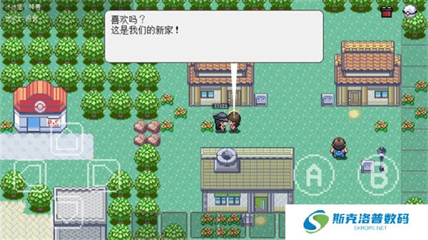 PocketDestiny