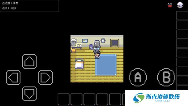 PocketDestiny
