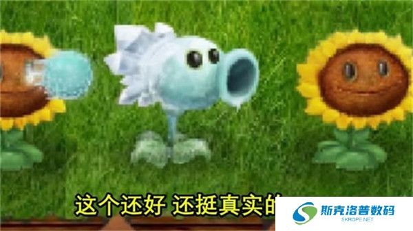 植物大战僵尸现实画风版