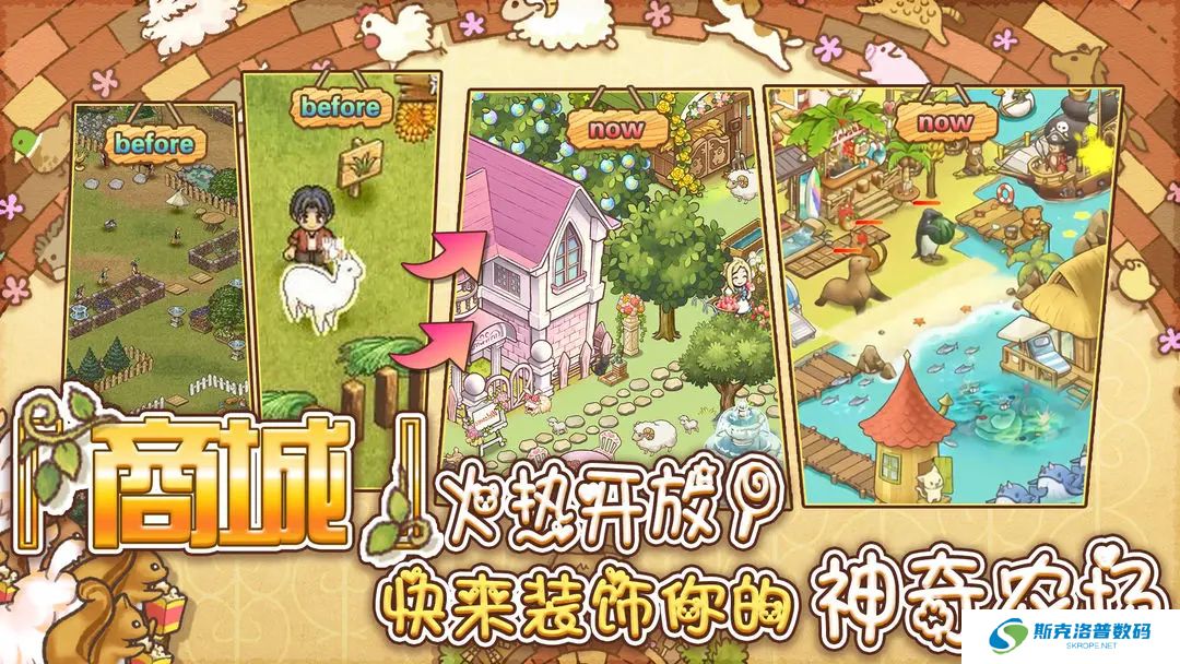 绵羊村的恬静时光