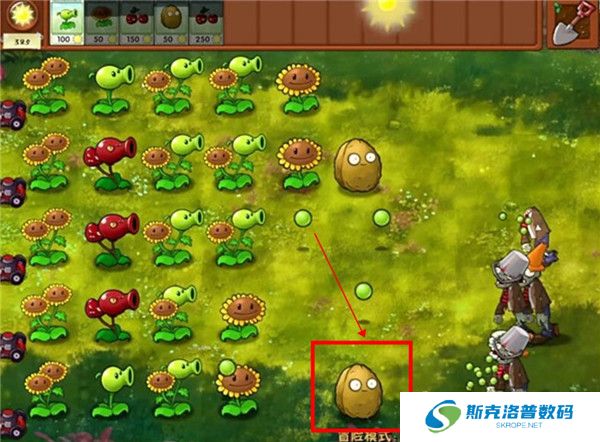 植物大战僵尸融合版下载截图