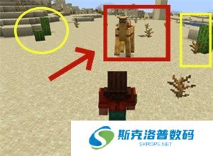 我的世界基岩版手游