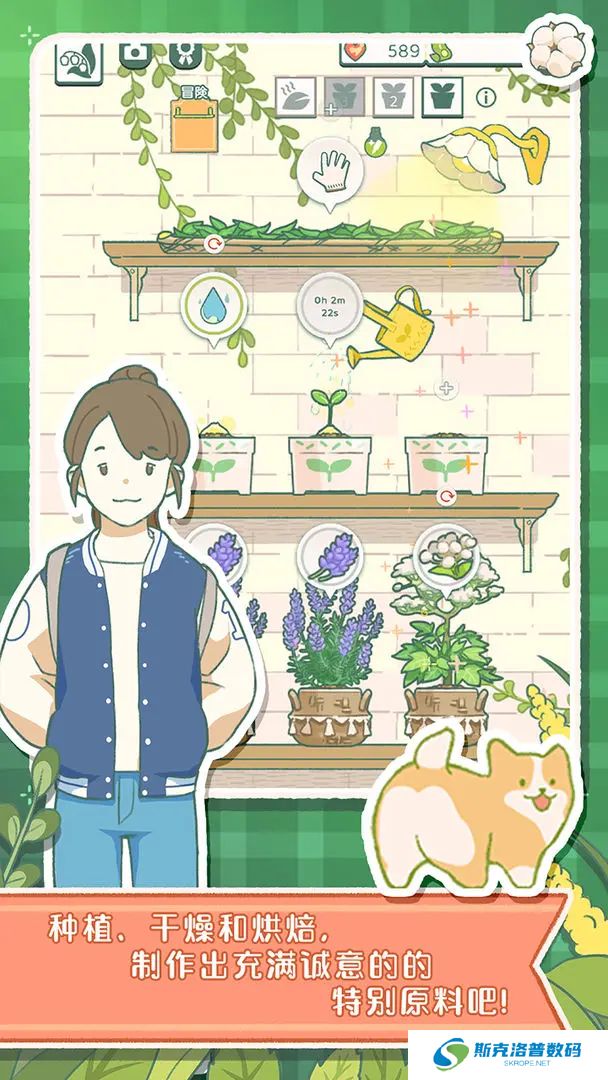 寄心茶屋手机版