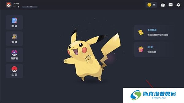 Pokechess